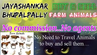 Jayashankar Bhupalpally :- Buy & Sale Farm Animals ♧ Cow - घर बैठें गाय भैंस खरीदें बेचें..