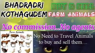 Bhadradri Kothagudem :- Buy & Sale Farm Animals ♧ Cow - घर बैठें गाय भैंस खरीदें बेचें..
