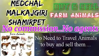 Medchal Malkajgiri Shamirpet :- Buy & Sale Farm Animals ♧ Cow - घर बैठें गाय भैंस खरीदें बेचें..
