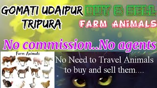 Gomati Udaipur :- Buy & Sale Farm Animals ♧ Cow, Buffalo, Sheeps - घर बैठें गाय भैंस खरीदें बेचें..