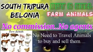 Belonia :- Buy & Sale Farm Animals ♧ Cow, Buffalo, Sheeps - घर बैठें गाय भैंस खरीदें बेचें..