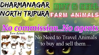 Dharmanagar :- Buy & Sale Farm Animals ♧ Cow, Buffalo, Sheeps - घर बैठें गाय भैंस खरीदें बेचें..