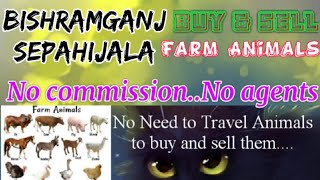 Bishramganj Sepahijala :- Buy & Sale Farm Animals ♧ Cow, घर बैठें गाय भैंस खरीदें बेचें..