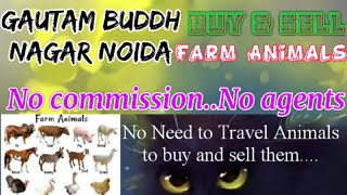 Gautam Bhudha Nagar Noida :- Buy & Sale Farm Animals ♧ Cow, घर बैठें गाय भैंस खरीदें बेचें..