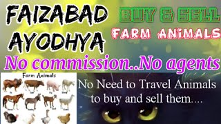 Ayodhya Faizabad :- Buy & Sale Farm Animals ♧ Cow, घर बैठें गाय भैंस खरीदें बेचें..