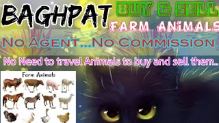 Baghpat :- Buy & Sale Farm Animals ♧ Cow, Buffalo, Sheeps - घर बैठें गाय भैंस खरीदें बेचें..