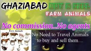 Ghaziabad :- Buy & Sale Farm Animals ♧ Cow, Buffalo, Sheeps - घर बैठें गाय भैंस खरीदें बेचें..