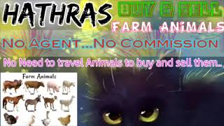 Hathras :- Buy & Sale Farm Animals ♧ Cow, Buffalo, Sheeps - घर बैठें गाय भैंस खरीदें बेचें..