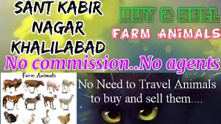 Sant Kabir Nagar Khalilabad :- Buy & Sale Farm Animals ♧ घर बैठें गाय भैंस खरीदें बेचें..