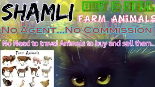 Shamli :- Buy & Sale Farm Animals ♧ Cow, Buffalo, Sheeps - घर बैठें गाय भैंस खरीदें बेचें..