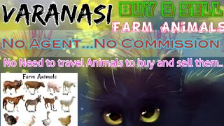 Varanasi :- Buy & Sale Farm Animals ♧ Cow, Buffalo, Sheeps - घर बैठें गाय भैंस खरीदें बेचें..