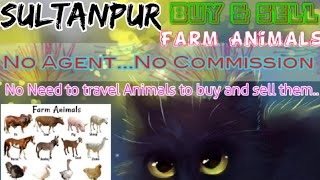 Sultanpur :- Buy & Sale Farm Animals ♧ Cow, Buffalo, Sheeps - घर बैठें गाय भैंस खरीदें बेचें..