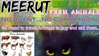 Meerut :- Buy & Sale Farm Animals ♧ Cow, Buffalo, Sheeps - घर बैठें गाय भैंस खरीदें बेचें..