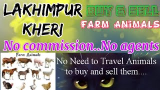 Lakhimpur Kheri :- Buy & Sale Farm Animals ♧ Cow, Buffalo, Sheeps - घर बैठें गाय भैंस खरीदें बेचें..