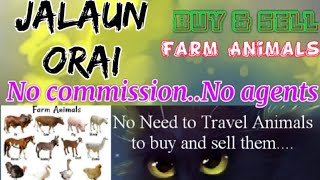 Jalaun Orai :- Buy & Sale Farm Animals ♧ Cow, Buffalo, Sheeps - घर बैठें गाय भैंस खरीदें बेचें..