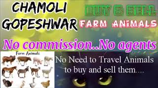 Chamoli Gopeshwar :- Buy & Sale Farm Animals ♧ Cow, Buffalo घर बैठें गाय भैंस खरीदें बेचें