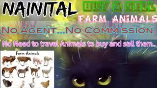 Nainital :- Buy & Sale Farm Animals ♧ Cow, Buffalo, Sheeps - घर बैठें गाय भैंस खरीदें बेचें..