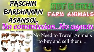 Paschim Bardhaman Asansol :- Buy & Sale Farm Animals ♧ Cow, Buffalo - घर बैठें गाय भैंस खरीदें बेचें