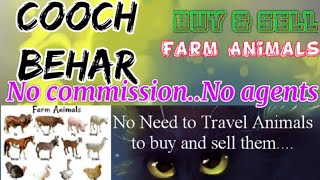 Cooch Behar :- Buy & Sale Farm Animals ♧ Cow, Buffalo, Sheeps - घर बैठें गाय भैंस खरीदें बेचें..