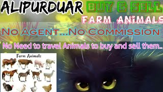 Alipurduar :- Buy & Sale Farm Animals ♧ Cow, Buffalo, Sheeps - घर बैठें गाय भैंस खरीदें बेचें..