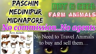Paschim Medinipur Midnapore :- Buy & Sale Farm Animals ♧ घर बैठें गाय भैंस खरीदें बेचें