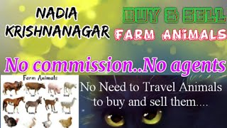 Nadia Krishnanagar :- Buy & Sale Farm Animals ♧ Cow, Buffalo - घर बैठें गाय भैंस खरीदें बेचें