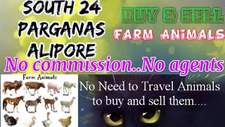 South 24 Paraganas Alipore :- Buy & Sale Farm Animals ♧ घर बैठें गाय भैंस खरीदें बेचें