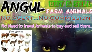 Angul :- Buy & Sale Farm Animals ♧ Cow, Buffalo, Sheeps - घर बैठें गाय भैंस खरीदें बेचें..