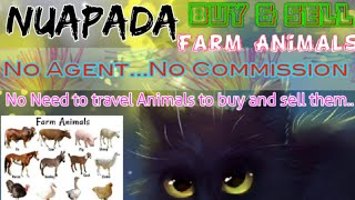 Nuapada :- Buy & Sale Farm Animals ♧ Cow, Buffalo, Sheeps - घर बैठें गाय भैंस खरीदें बेचें..