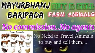 Mayurbhanj Baripada :- Buy & Sale Farm Animals ♧ Cow -घर बैठें गाय भैंस खरीदें बेचें..