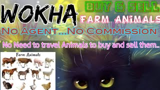 Wokha :- Buy & Sale Farm Animals ♧ Cow, Buffalo, Sheeps - घर बैठें गाय भैंस खरीदें बेचें..