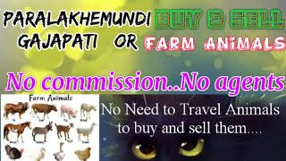 Paralakhemundi Gajapati :- Buy & Sale Farm Animals ♧ Cow  - घर बैठें गाय भैंस खरीदें बेचें..