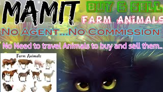 Mamit :- Buy & Sale Farm Animals ♧ Cow, Buffalo, Sheeps - घर बैठें गाय भैंस खरीदें बेचें..