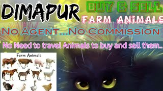 Dimapur :- Buy & Sale Farm Animals ♧ Cow, Buffalo, Sheeps - घर बैठें गाय भैंस खरीदें बेचें..