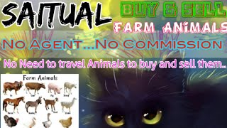Saitual :- Buy & Sale Farm Animals ♧ Cow, Buffalo, Sheeps - घर बैठें गाय भैंस खरीदें बेचें..