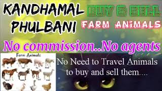 Kandhamal Phulbani :- Buy & Sale Farm Animals ♧ Cow  - घर बैठें गाय भैंस खरीदें बेचें..