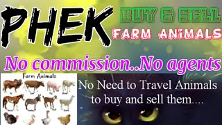 Phek :- Buy & Sale Farm Animals ♧ Cow, Buffalo, Sheeps - घर बैठें गाय भैंस खरीदें बेचें..