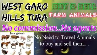 West Garo Hills Tura :- Buy & Sale Farm Animals ♧ Cow - घर बैठें गाय भैंस खरीदें बेचें..