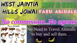 West Jaintia Hills Jowai :- Buy & Sale Farm Animals ♧ Cow - घर बैठें गाय भैंस खरीदें बेचें..
