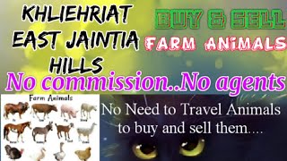 Khliehriat East Jaintia Hills :- Buy & Sale Farm Animals ♧ Cow - घर बैठें गाय भैंस खरीदें बेचें..