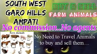 South West Garo Hills Ampati :- Buy & Sale Farm Animals ♧ Cow - घर बैठें गाय भैंस खरीदें बेचें..