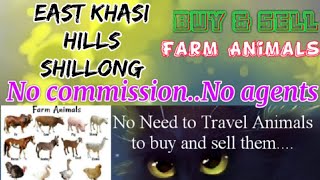 East Khasi Hills Shillong :- Buy & Sale Farm Animals ♧ Cow - घर बैठें गाय भैंस खरीदें बेचें..