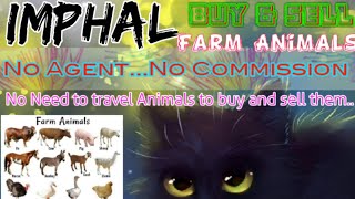 Imphal :- Buy & Sale Farm Animals ♧ Cow, Buffalo, Sheeps - घर बैठें गाय भैंस खरीदें बेचें..
