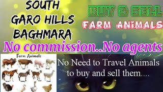 South Garo Hills Baghmara :- Buy & Sale Farm Animals ♧ Cow - घर बैठें गाय भैंस खरीदें बेचें..