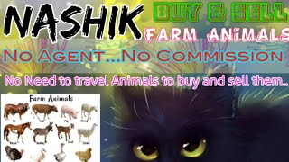 Nashik :- Buy & Sale Farm Animals ♧ Cow, Buffalo, Sheeps - घर बैठें गाय भैंस खरीदें बेचें..