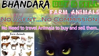 Bhandara :- Buy & Sale Farm Animals ♧ Cow, Buffalo, Sheeps - घर बैठें गाय भैंस खरीदें बेचें..