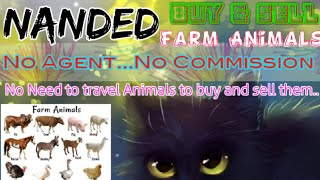 Nanded :- Buy & Sale Farm Animals ♧ Cow, Buffalo, Sheeps - घर बैठें गाय भैंस खरीदें बेचें..