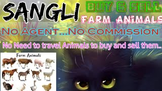 Sangli :- Buy & Sale Farm Animals ♧ Cow, Buffalo, Sheeps - घर बैठें गाय भैंस खरीदें बेचें..