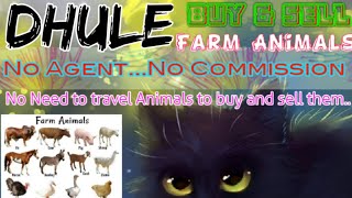 Dhule :- Buy & Sale Farm Animals ♧ Cow, Buffalo, Sheeps - घर बैठें गाय भैंस खरीदें बेचें..