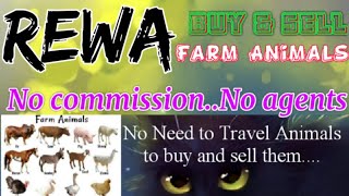 Rewa :- Buy & Sale Farm Animals ♧ Cow, Buffalo, Sheeps - घर बैठें गाय भैंस खरीदें बेचें..